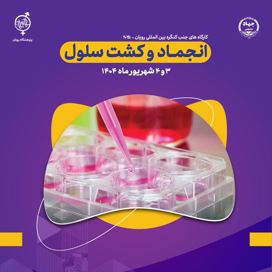 نام دوره